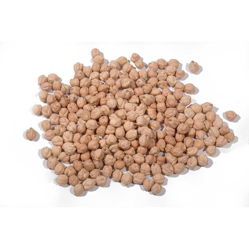 GARBANZO PEDROSILLANO ECO SACO 1/10Kg